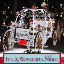 It's a Wonderful Night horse-drawn carriage